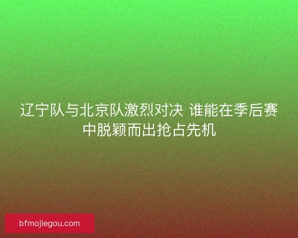 辽宁队与北京队激烈对决 谁能在季后赛中脱颖而出抢占先机