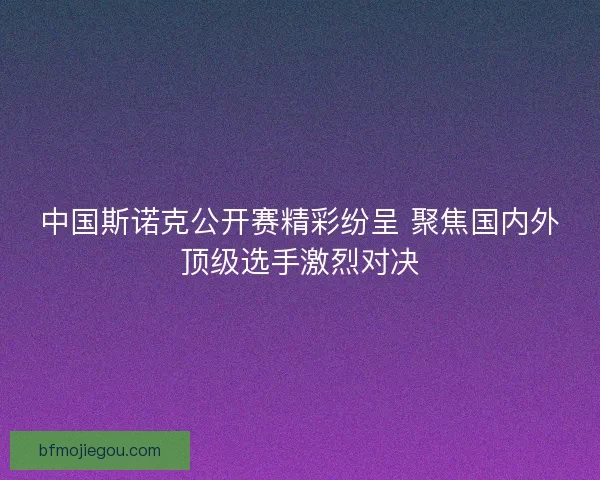 中国斯诺克公开赛精彩纷呈 聚焦国内外顶级选手激烈对决