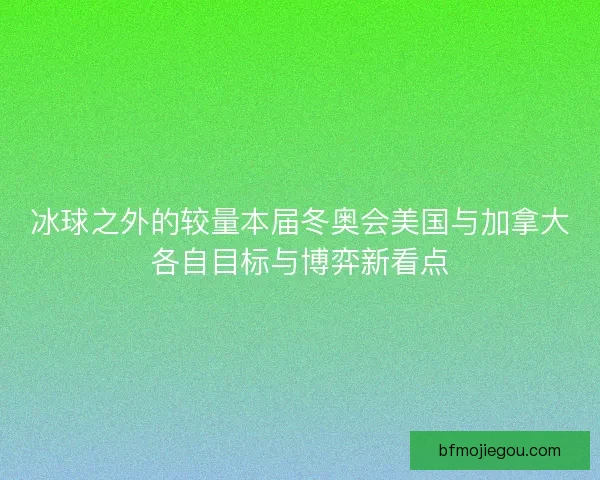 冰球之外的较量本届冬奥会美国与加拿大各自目标与博弈新看点